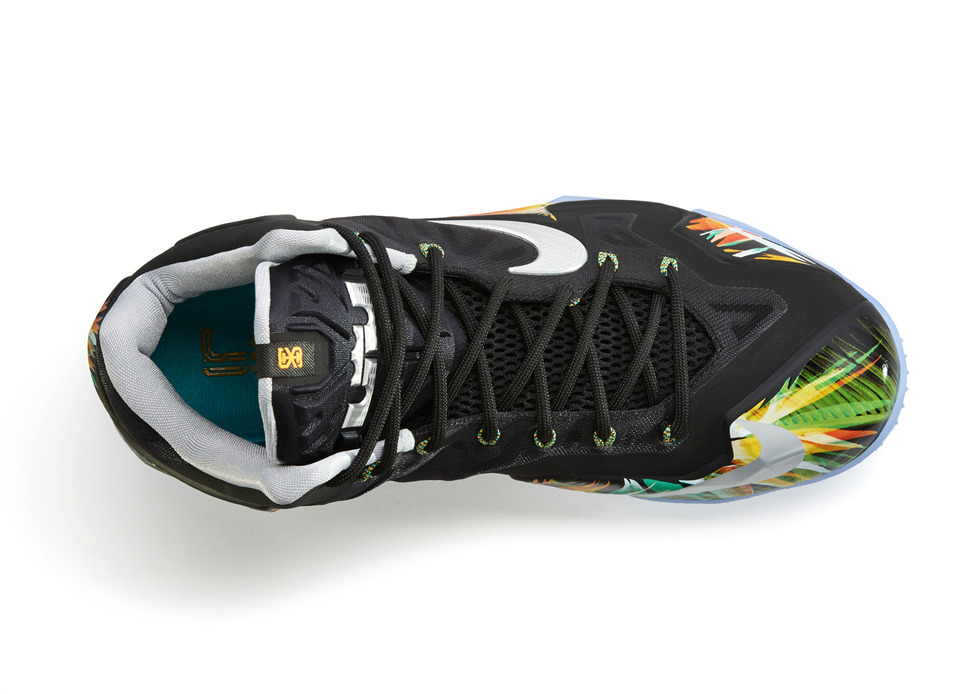 Lebron_11_Everglades_006_top_0193_FB_detail