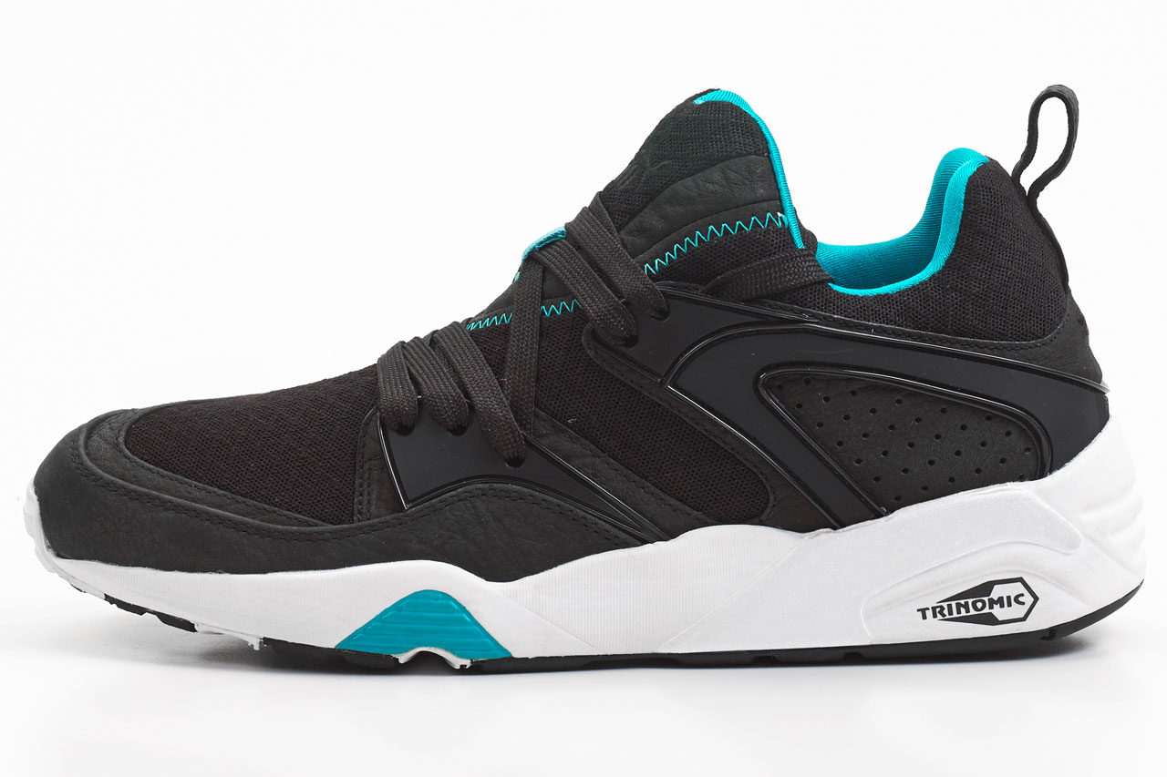 puma_mesh_evoloution_4