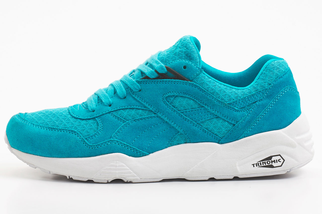 puma_mesh_evoloution_7