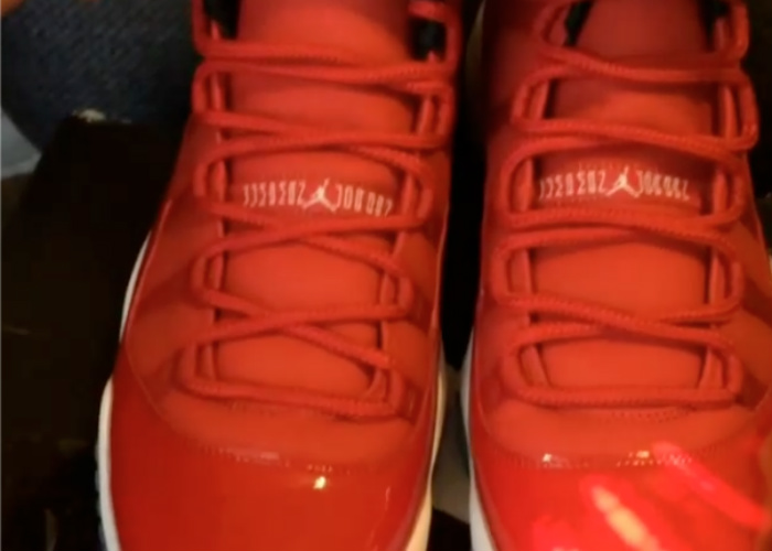 air-jordan-11-red-carmelo-pe-2