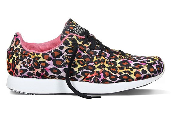 converse-auckland-animal