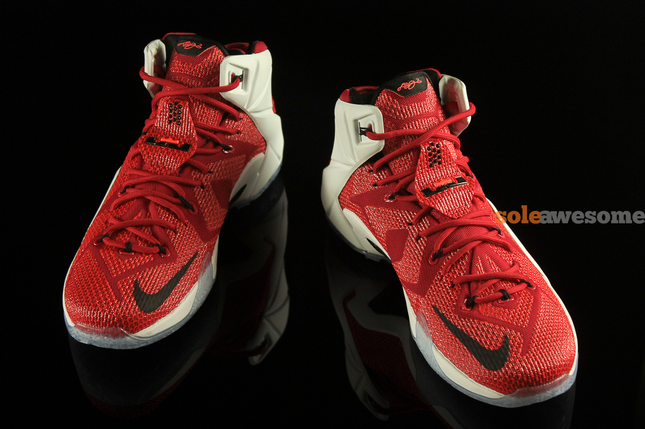 Nike_LeBron_XII_12_Lion_Heart-2
