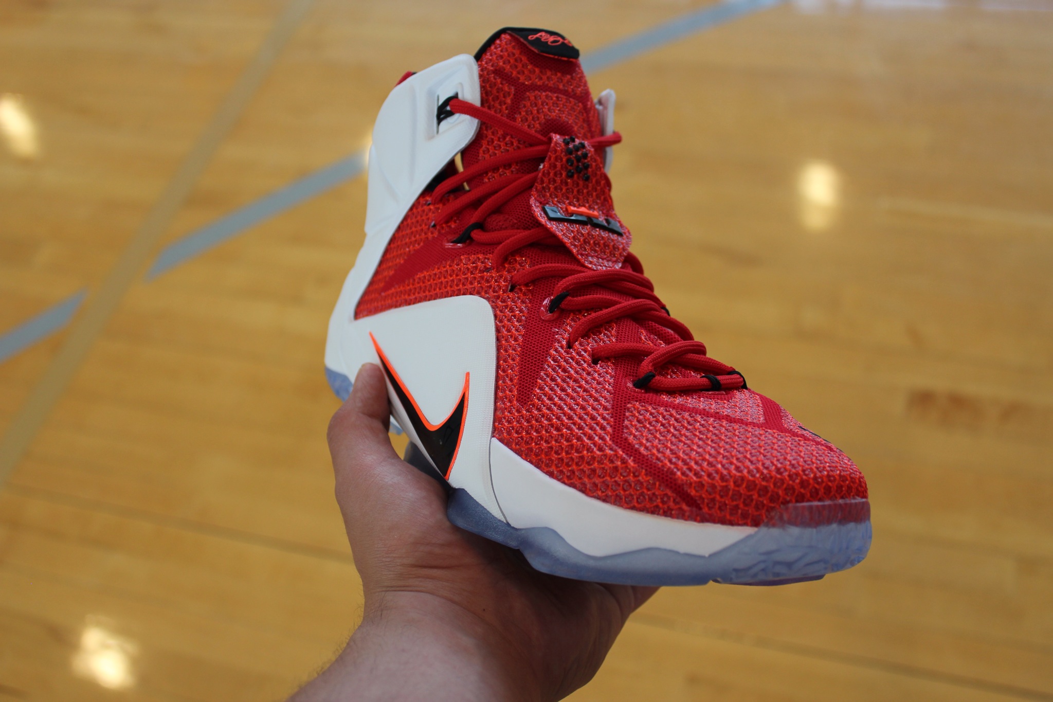 lebron james heart of a lion shoes