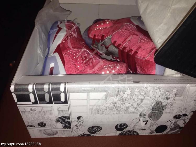 Air Jordan VI x Slam Dunk Packaging