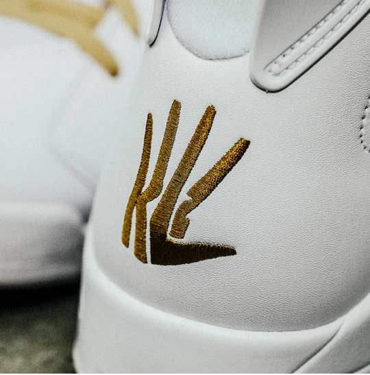 kahwi-leonard-air-jordan-vi-pe-1