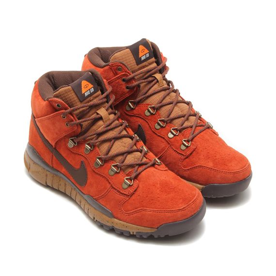 nike sb-poler-dunk hi oms