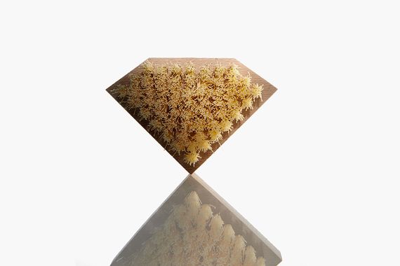jason markk-diamond supply co-sneaker cleaning kit_06