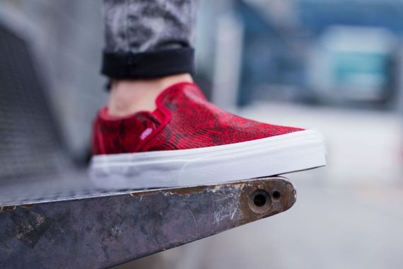 vans-slip on-red chili snake_04