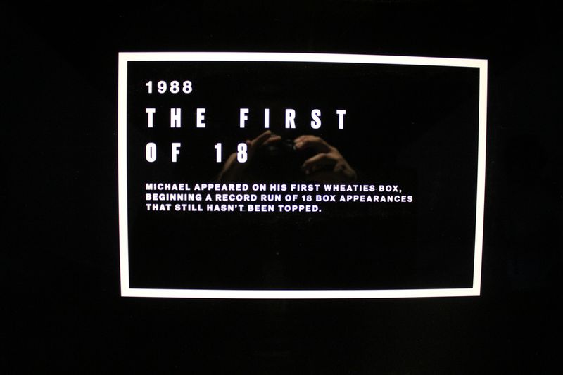 pearl-pavilion-air-jordan-michael-jordan-gallery_41_result