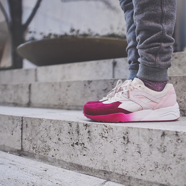 sakura-ronnie-fieg