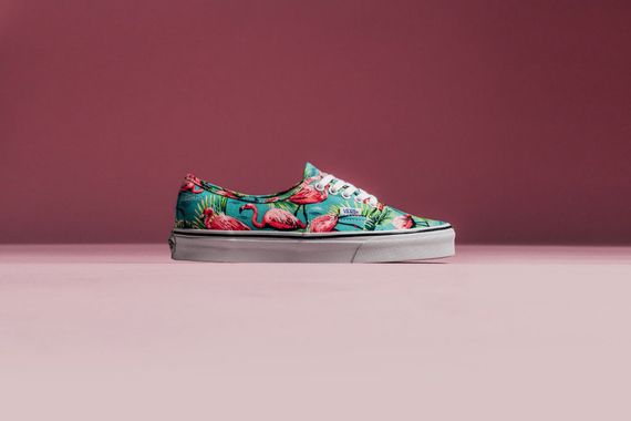 vans-van doren-flamingo _02