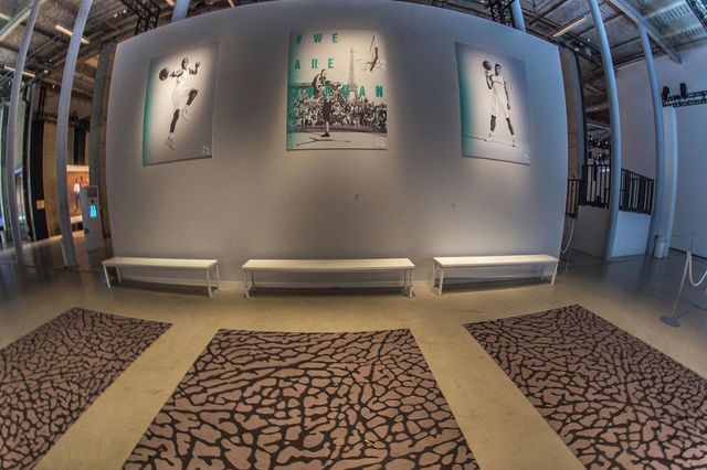 Air-Jordan-Palais-23-Paris-9_result