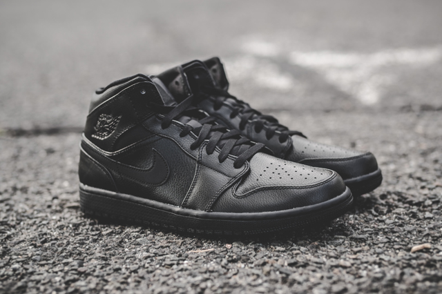 air-jordan-1-essentials-bumper-6