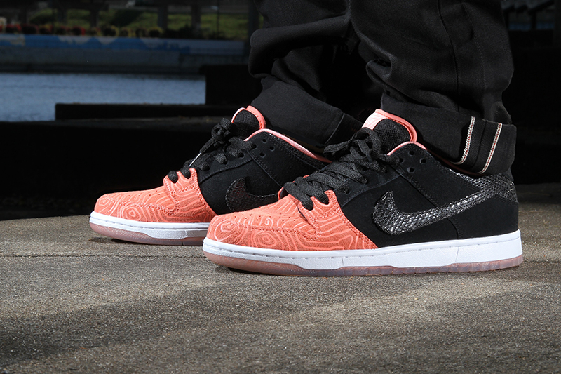 premier-nike-sb-dunk-low-salmon-ladder-pack-2