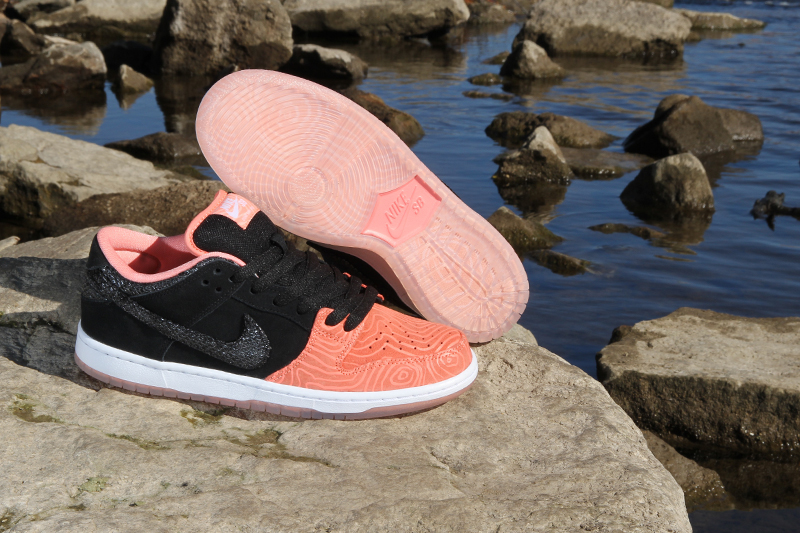 premier-nike-sb-dunk-low-salmon-ladder-pack-4