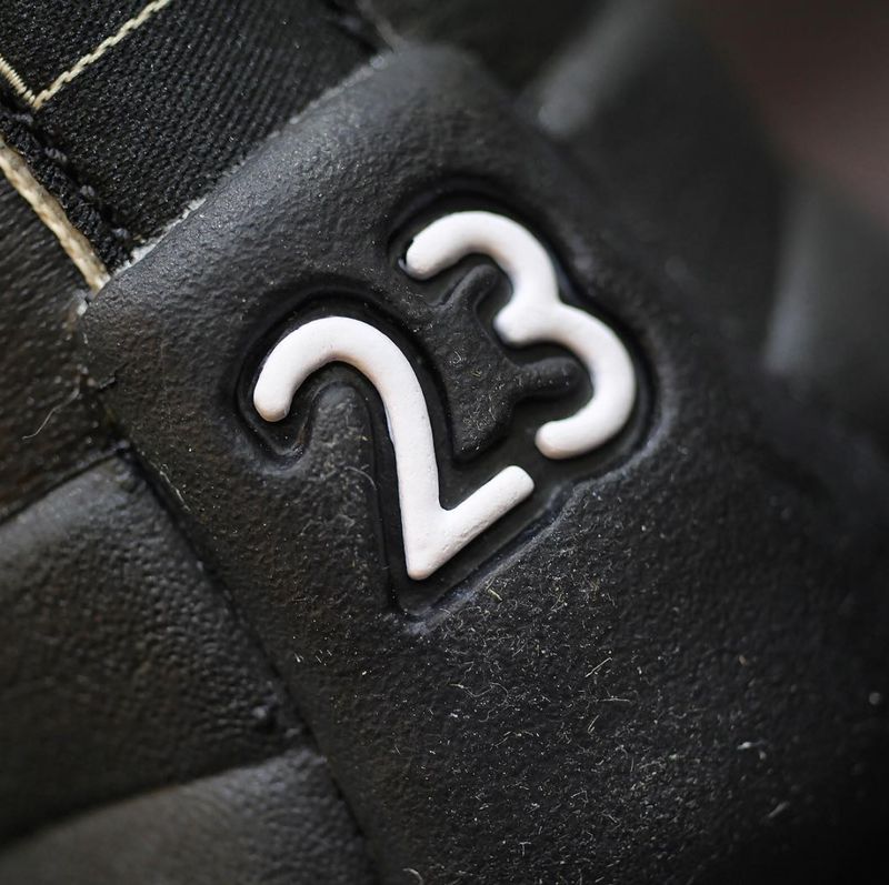 the-master-air-jordan-12-retro-release-date-6