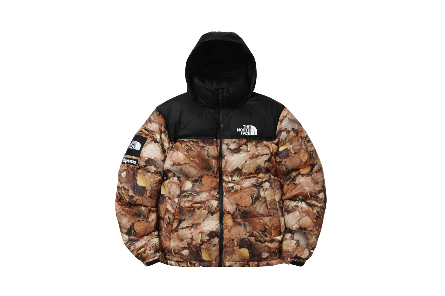 supreme-x-the-north-face-2016-fall-winter-collection-8