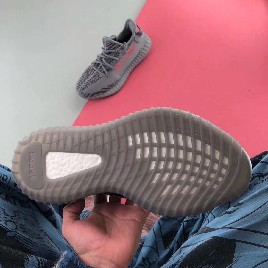 beluga release date