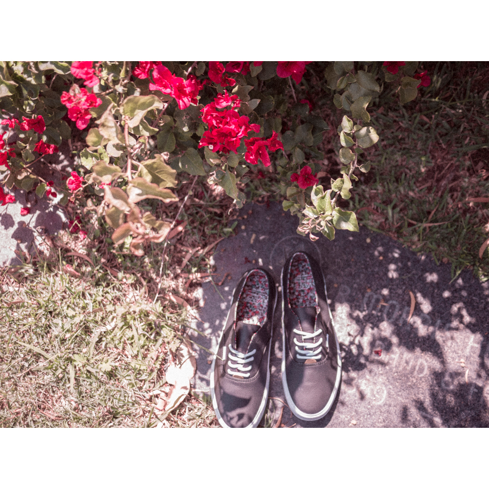 Vans-California-Collection_Era-Decon-CA_Hero-Image_Spring-2014