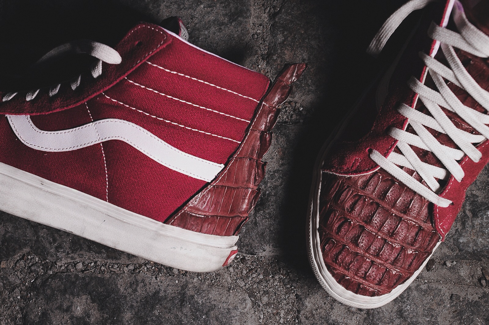 Vans Sk8-Hi – Caiman Croc