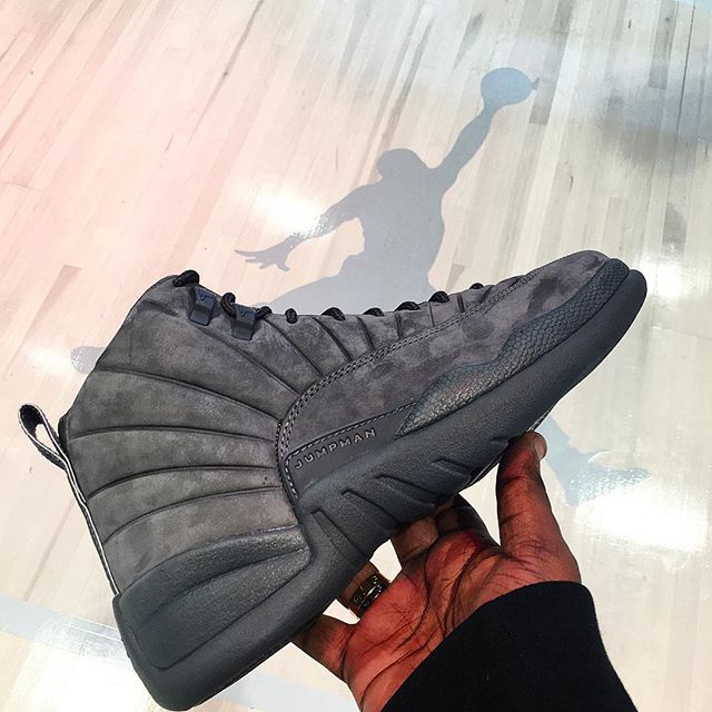 Air Jordan 12 x Public School Release Date