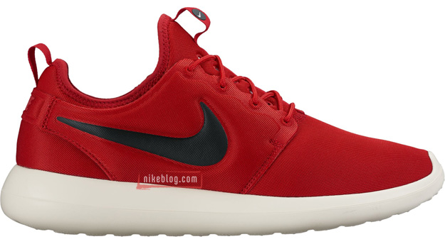 Nike-Roshe-Two-5