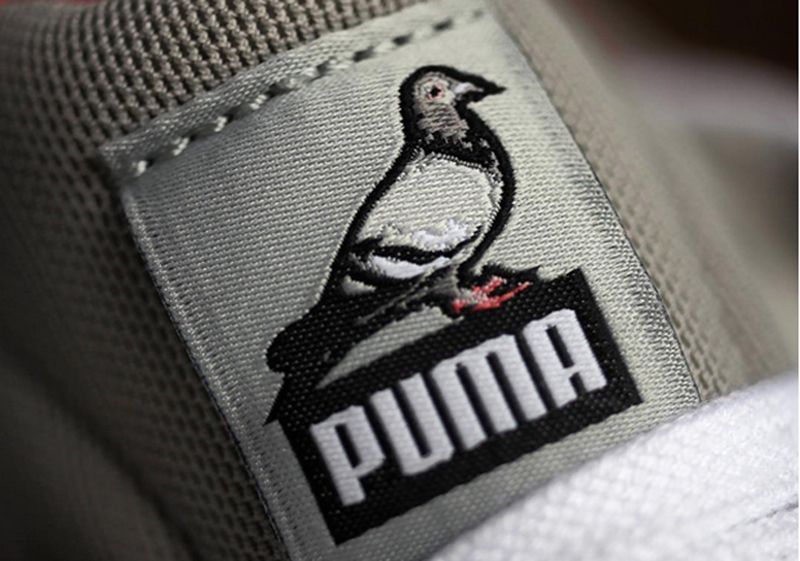 pigeon-puma_05