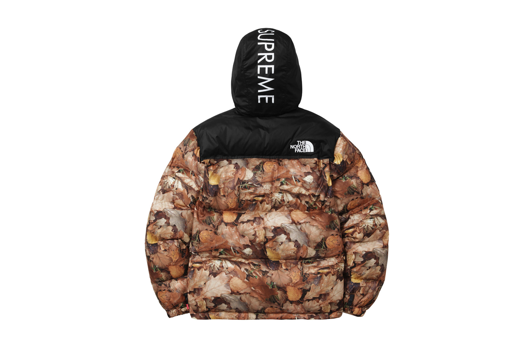 supreme-x-the-north-face-2016-fall-winter-collection-10