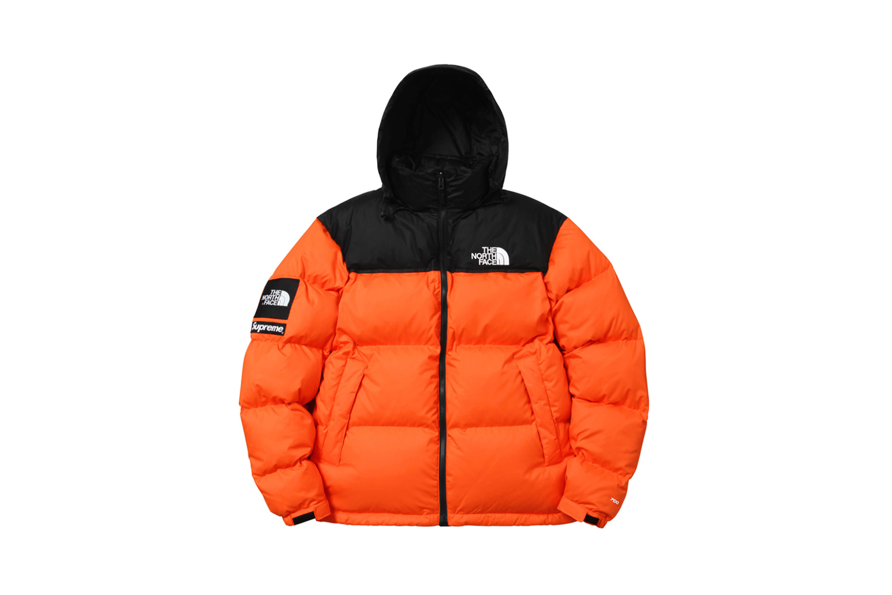 supreme-x-the-north-face-2016-fall-winter-collection-12