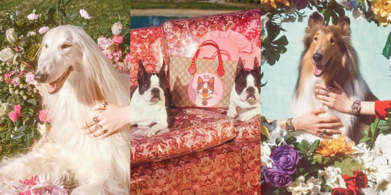 Gucci Unveils the “Year of the Dog Capsule”