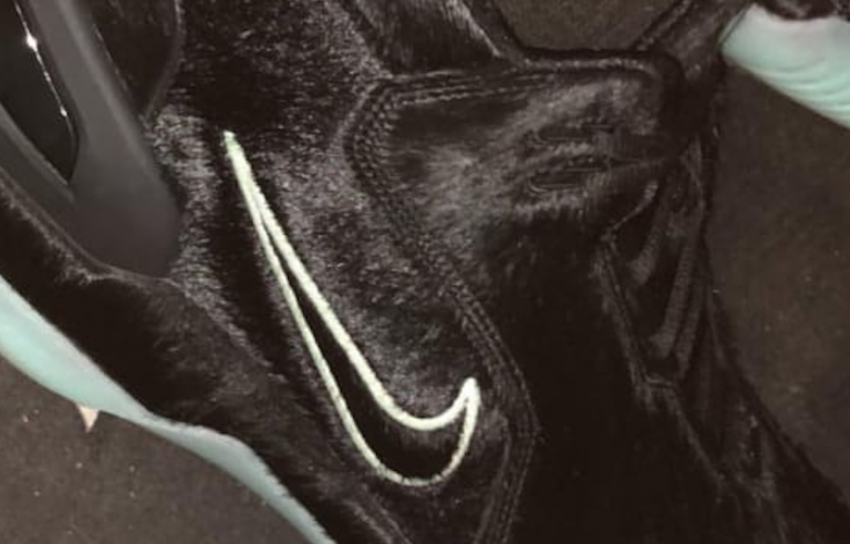 LeBron Teases a Pony Hair Nike Air Zoom Generation