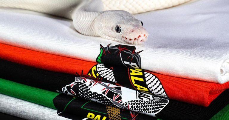 Palace Drops a Set of Sinister Snake Tees for Summer 2020