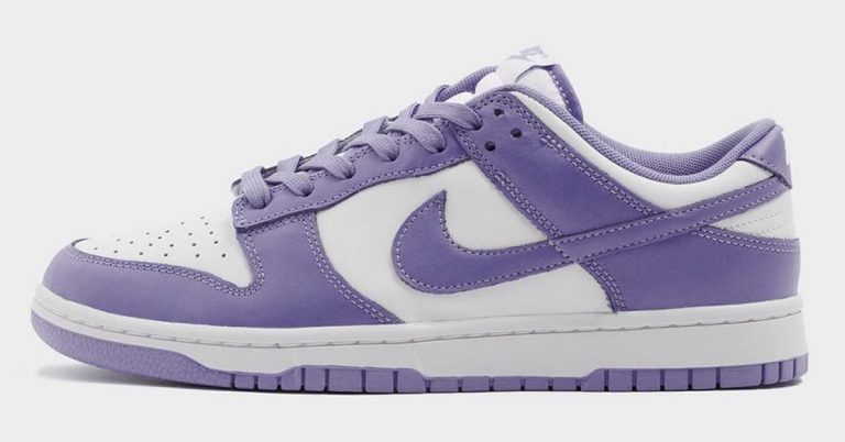 Nike Dunk Low “Purple Pulse” Slated for Spring 2021