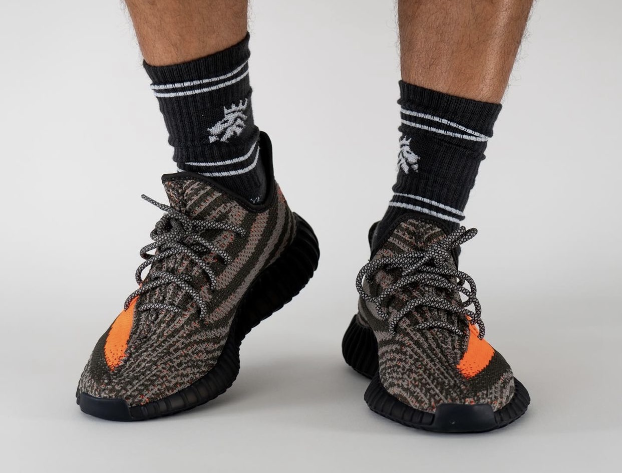 beluga 3.0