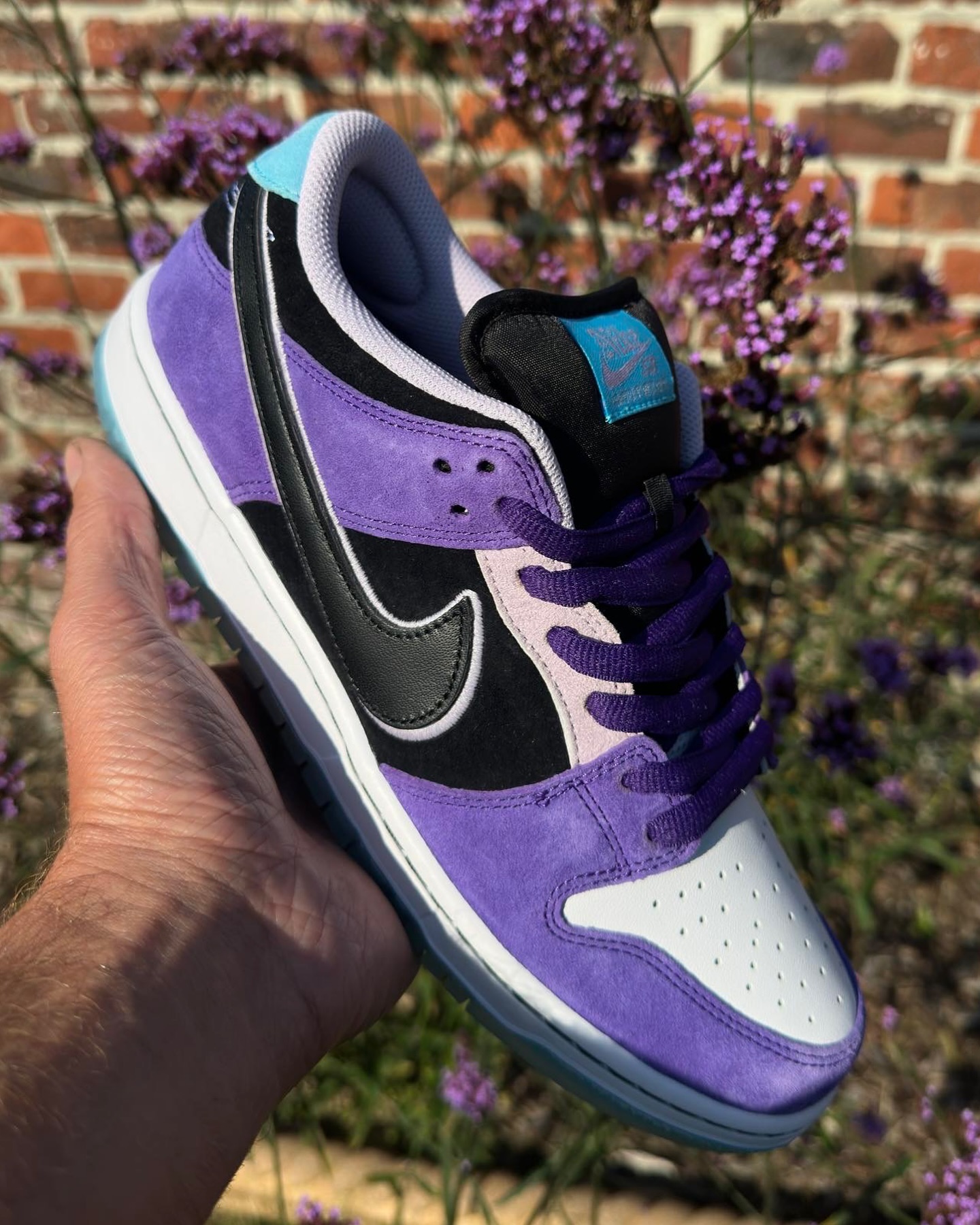 Hayley Wilson Previews Her Nike SB Dunk Low Collab - Modern